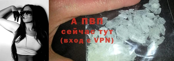СК Белокуриха