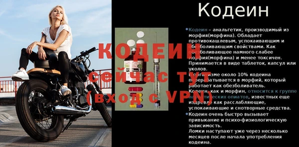 СК Белокуриха