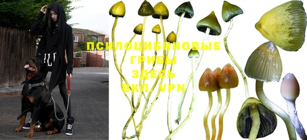 mdpv Белоозёрский
