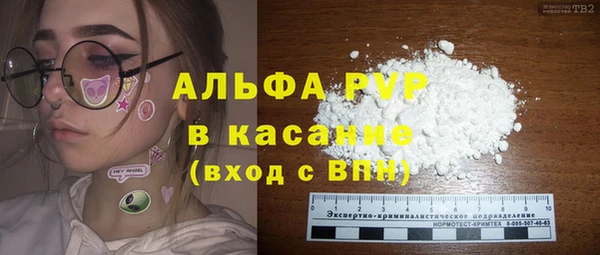 СК Белокуриха
