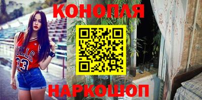 шишки Братск