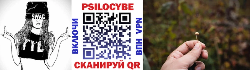как найти закладки  Видное  Галлюциногенные грибы Cubensis 