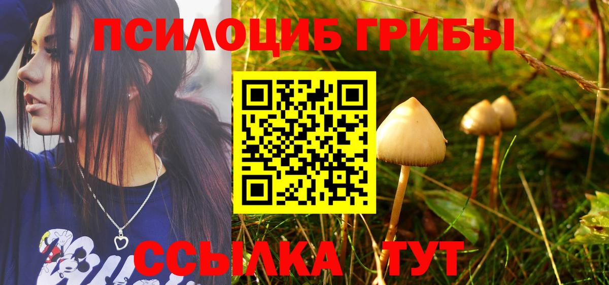 Галлюциногенные грибы ЛСД Видное