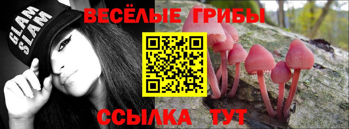 Видное  Псилоцибиновые грибы Psilocybe  Вход с VPN 